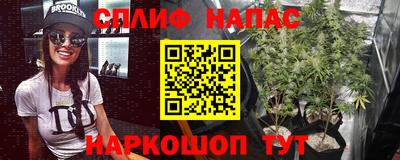 mdpv Ярославль
