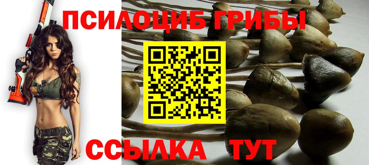 Галлюциногенные грибы MAGIC MUSHROOMS  Вход с VPN  Ирбит 